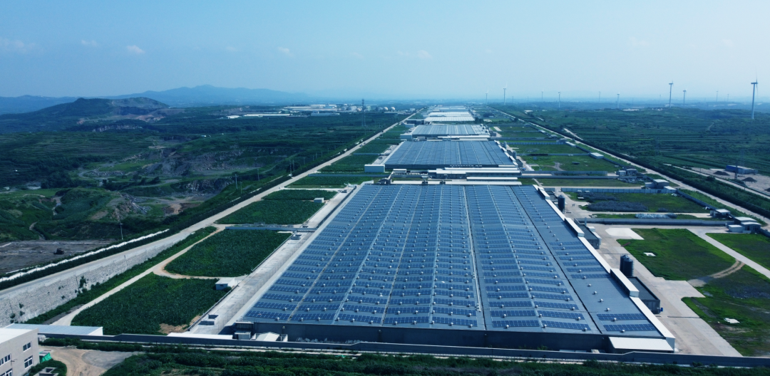 1080-2017年12月 山東蓬萊民和牧業(yè) 25MW光伏發(fā)電項(xiàng)目 年發(fā)電量3000萬(wàn)度.png